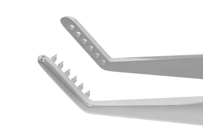 4-131S Jameson Muscle Forceps, Right, 6 Teeth, Slide Lock, Length 100 mm, Stainless Steel - Image 2